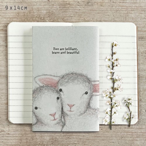 ewe are brilliant book 2